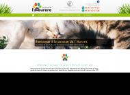 Elevage chiens de petites races et pension pour chiens et chats, près de Tours (37)