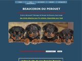 Elevage de Beauceron à Bélus, dans les Landes (40)