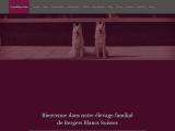 Elevage de bergers blancs suisses près de Limoges (86)