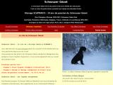 Elevage de schnauzer géant noir en Essonne (91)
