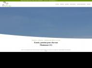 Elevage et pension chevaux, à Montmaur  (11)