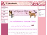 Eleveur de chihuahua et coton de tuléar en Rhône Alpes 