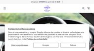 Equipements multimedia voiture