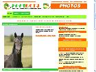 Equirodi - achat vente chevaux