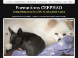 Formation de comportementaliste animalier en Maine et Loire (49)