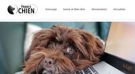 France Chien