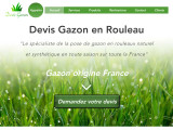 Gazon naturel et synthétique, dans les Yvelines (78)