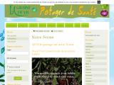 graines et semis bio pour potager