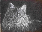 Gravures sur pierre