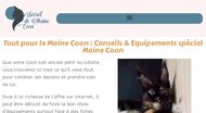 Guide d'achat Accessoires et Arbres à chats Maine Coon