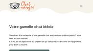 Guide d'achat gamelle et fontaine à eau pour chat