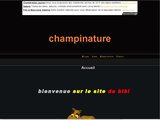 Guide pratique de la cueillette aux champignons