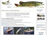 Guide pratique de la pêche au Brochet