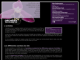 Histoire et culture des différentes espèces d'orchidées