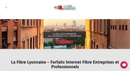 Installation fibre pour les professionnels, Lyon