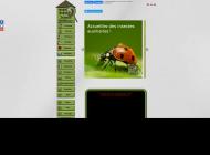 Installer un hébergement pour coccinelle et insectes utiles au jardin