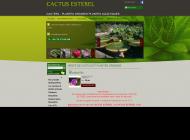 Jardinerie Pépinièriste à Bagnols en Forêt