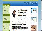 kit-graphique, template web, flash