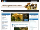 Kits de champignons comestibles à cultiver soi même