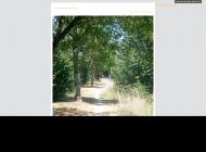 L'Art-thérapie au service du mieux-être, Rouen 