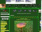 Le JardinOscope