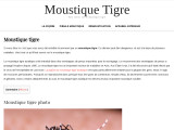Le Moustique tigre