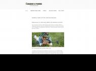 Législation et guide d'achat carabine à plomb