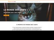 Les meilleurs produits pour chats