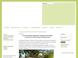 Les planteurs de vanille de Madagascar