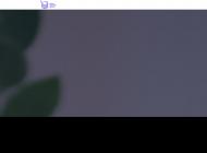 Litière végétale de tofu biodégradable et compostable