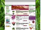 livraison de fleurs - vente de fleurs en ligne