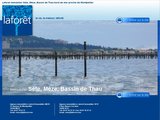 Location, vente de biens Immobiliers sur le Bassin de Thau (3