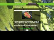 Location lodge avec jacuzzi à Saint-Paul, La Réunion