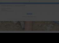 Mantenance réseau assainissement en Essonne (91)