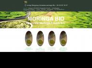 Moringa bio pour la santé et le bien être