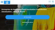 Nettoyage et désinsectisation Damery (51)