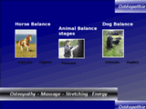 Ostéopathie, Massages et soins énergétiques pour les chevaux et animaux de compagnie