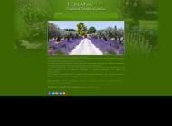 Paysagiste sur Orange, Avignon, Vaucluse (84)