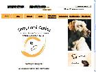 pension chiot chiens - guides aveugles avec complicite canine