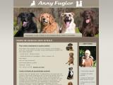 pension de vacances chiens et NAC à Roumazières-Loubert (16)