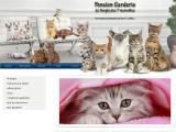 Pension pour chats de luxe à Lauriere, Haute Vienne (87)