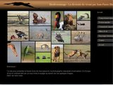 Photographie animalière, paysage et nature à l'état pur