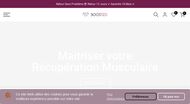 Pistolet de massage pour sportifs