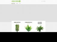 Plantes, Fleurs et Arbres Artificiels