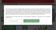 Plantes artificielles 
