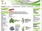 Plantes et fleurs artificielles + de 1500 refs a bas prix