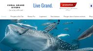 Plongée sous marine en Thaïlande
