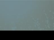 Pompes funèbres à Aix en Provence (13)