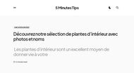 Prendre soin des plantes d'intérieur