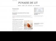 Prévention et traitement des punaises de lit